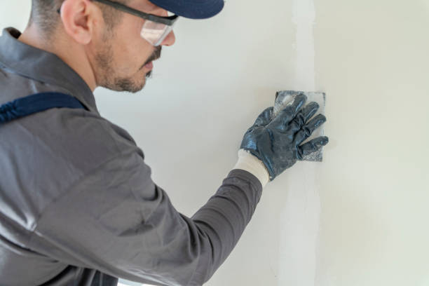 Best Environmental Consulting for Mold Prevention  in Beecher, MI