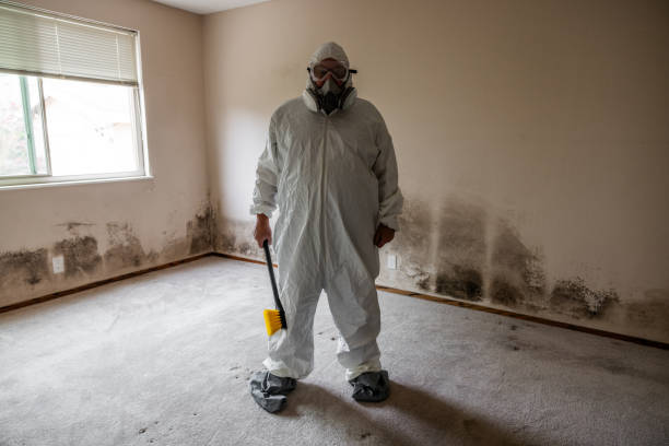 Best Commercial Mold Inspection  in Beecher, MI