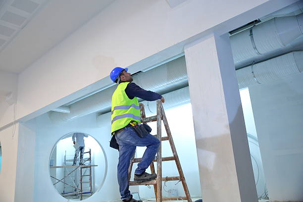 Best Industrial Mold Remediation  in Beecher, MI
